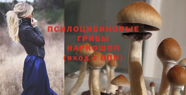 синтетический гашиш Алексеевка