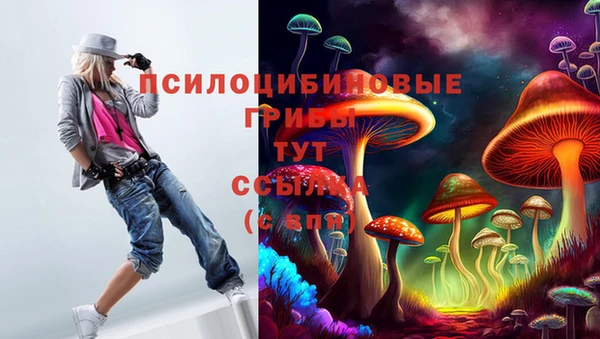 героин Алексин