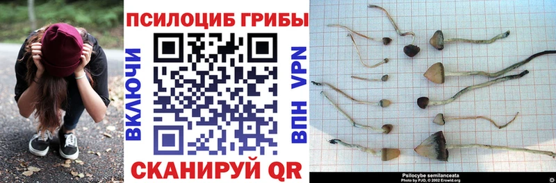 Псилоцибиновые грибы мухоморы Перевоз